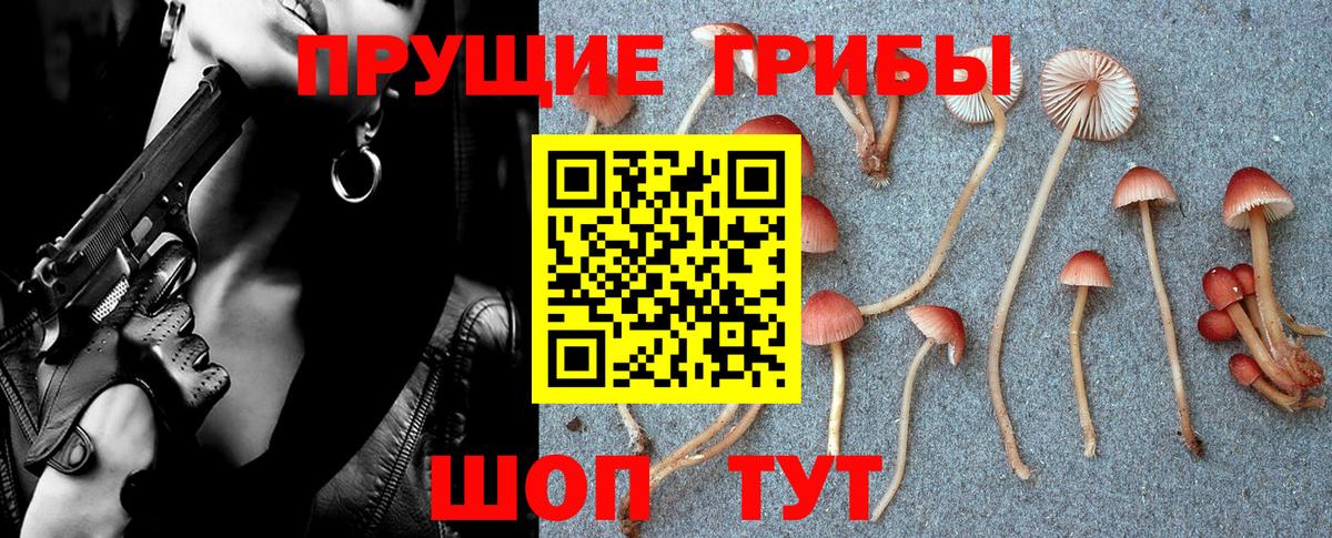 Галлюциногенные грибы мицелий  Вход с VPN  Луга  Галлюциногенные грибы Cubensis 