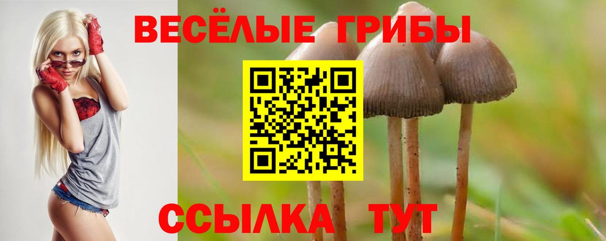 Псилоцибиновые грибы мицелий Луга